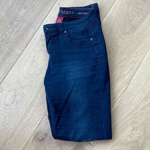 Liverpool Abby Skinny Jeans